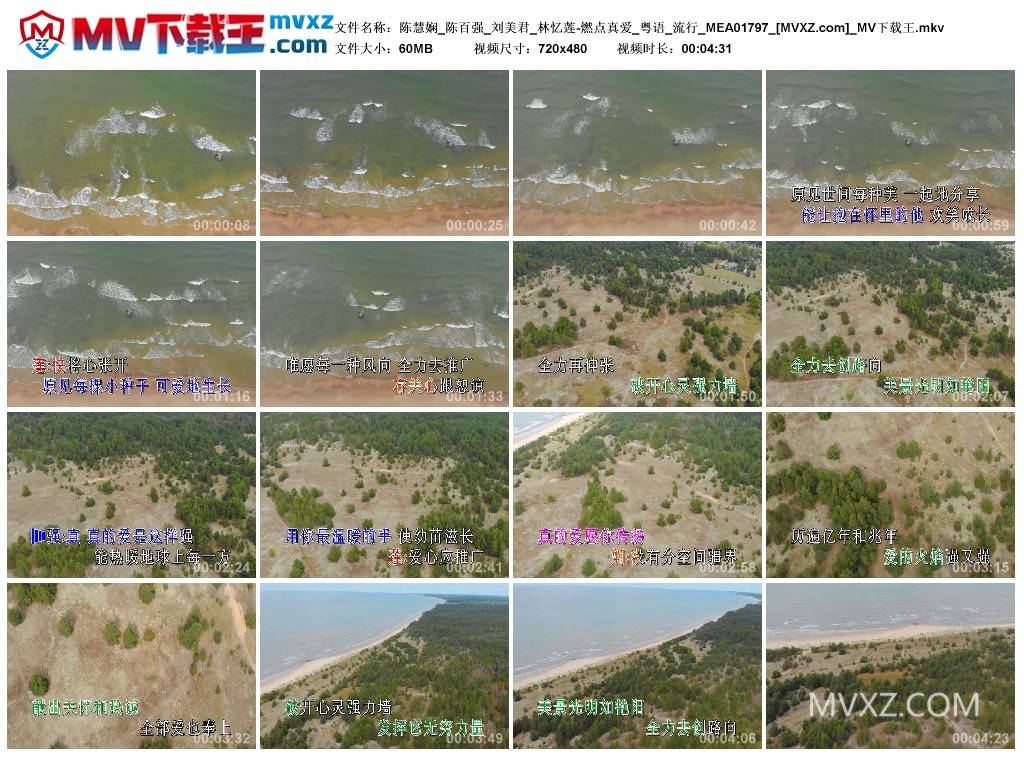 陈慧娴_陈百强_刘美君_林忆莲-燃点真爱_粤语_流行_MEA01797